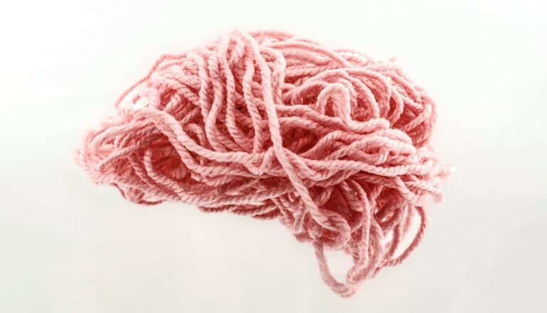 Pink yarn tangled in the shape of a human brain.