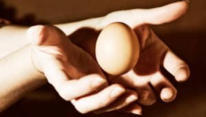 An egg in midair with a person about to catch it.