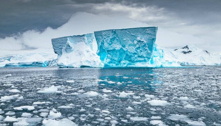 A blue iceberg in the middle of frozen water.