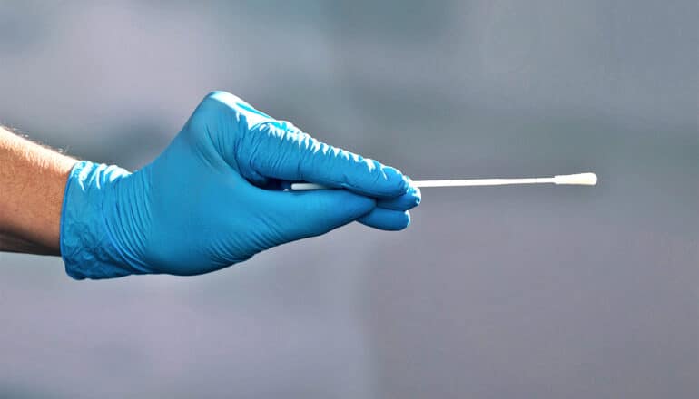 A person with a blue glove holds a nasal swab for COVID detection.