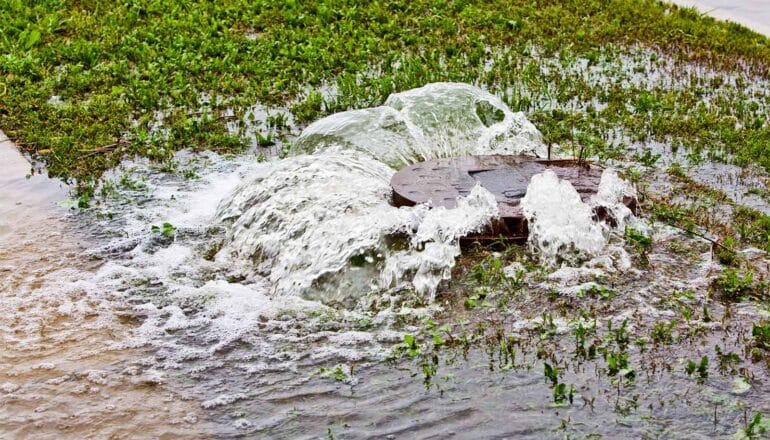 Water pours out of a storm drain.