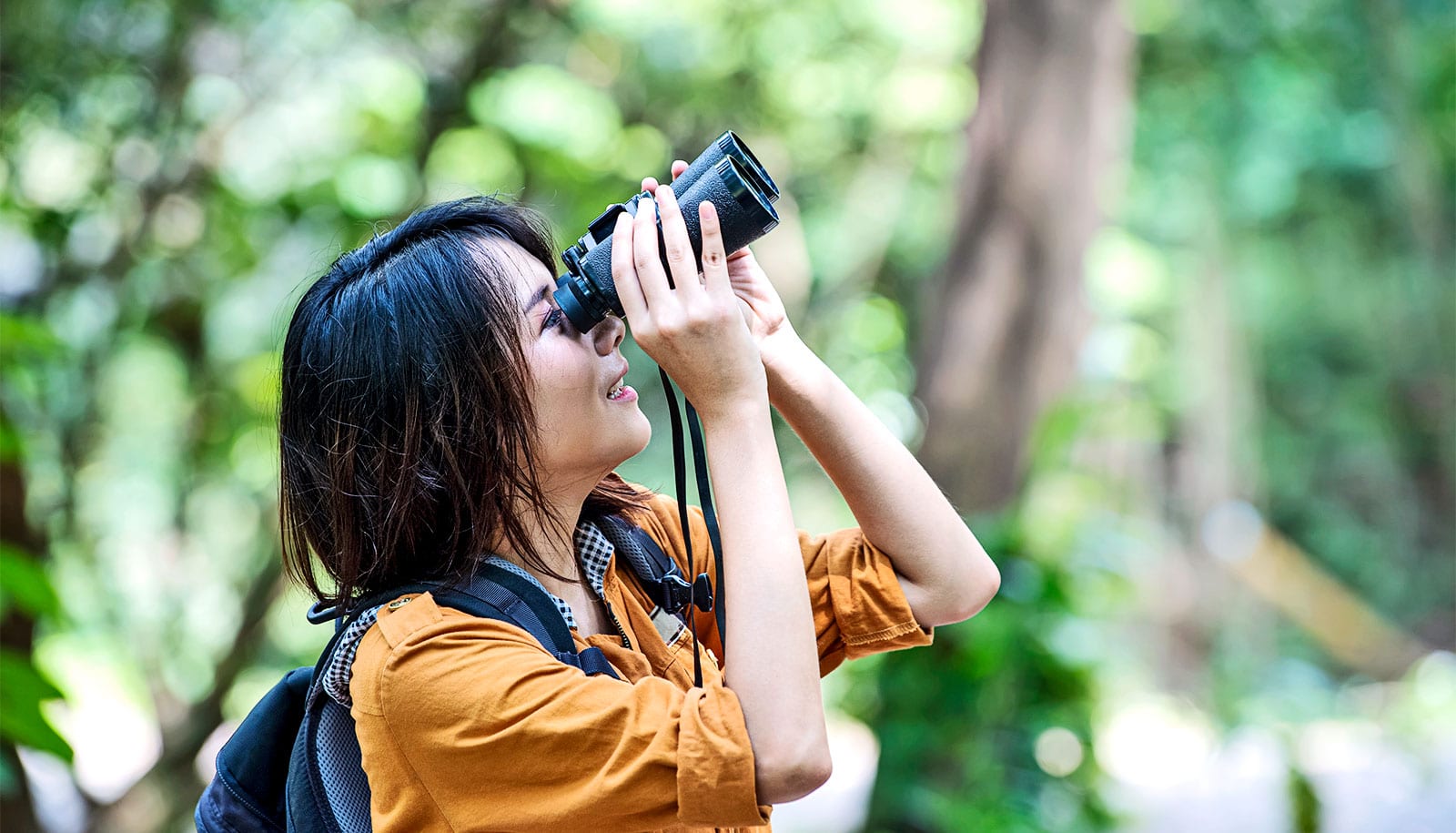 Birdwatching may boost student well-being and lower stress - Futurity