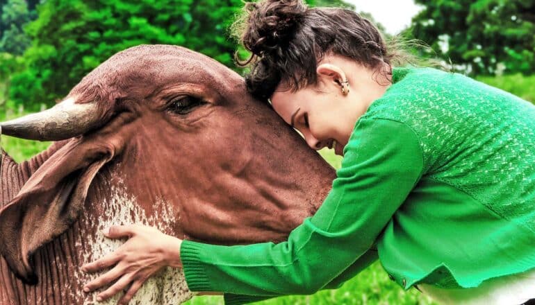 A woman in a green sweater hugs a cow and puts her forehead to the cow's forehead while standing outside.