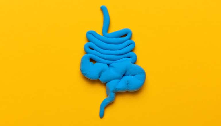 Blue clay arranged to look like intestines on a yellow background.