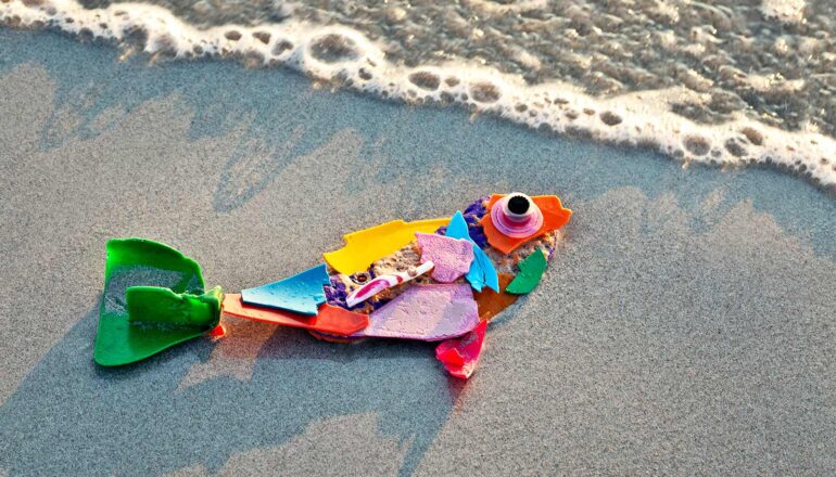 Plastic trash arranged in the shape of a fish sits on a beach.