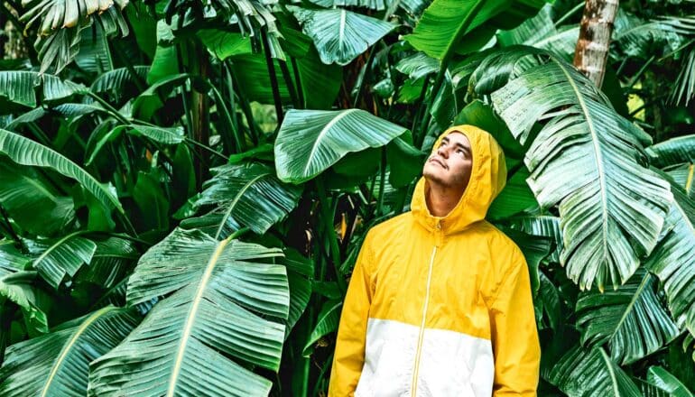 A man in a yellow and white raincoat stands in front of leafy plants and looks up.