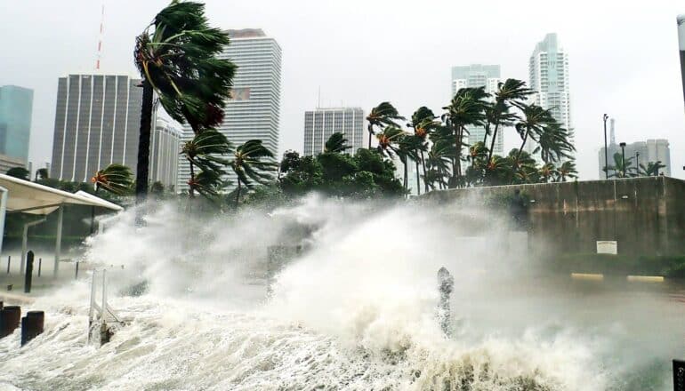 Water splashes over barriers and palm trees bend in the wind during a hurricane.