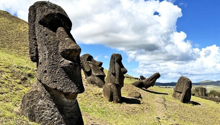 The moai statues stand on a hill with some falling over and others still standing straight.