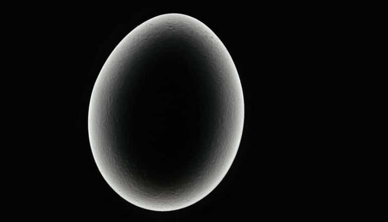 An egg silhouette highlighted in white against a black background.