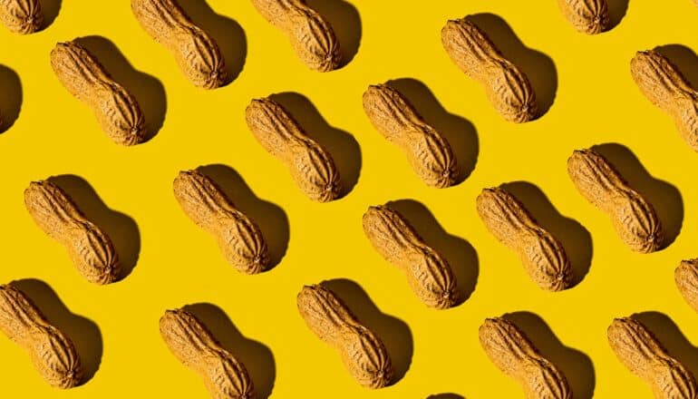 Rows of peanuts in their shells on a yellow background.