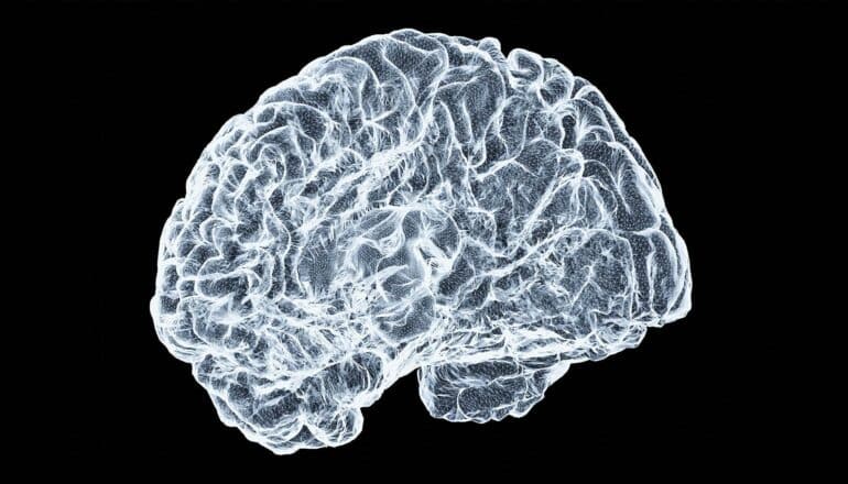 A shot of a scan of a human brain highlighted in white against a black background.