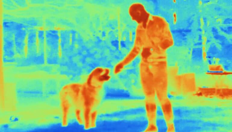 A thermal image of a man walking his dog outside shows the man and dog in bright orange and yellow and the rest of the scene in green and blue.