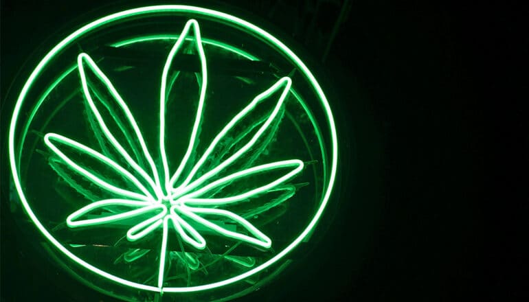 A neon sign shows a green cannabis leaf in a green circle against a dark background.