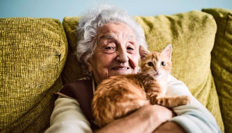 An older woman smiles while holding a kitten and sitting on a couch.