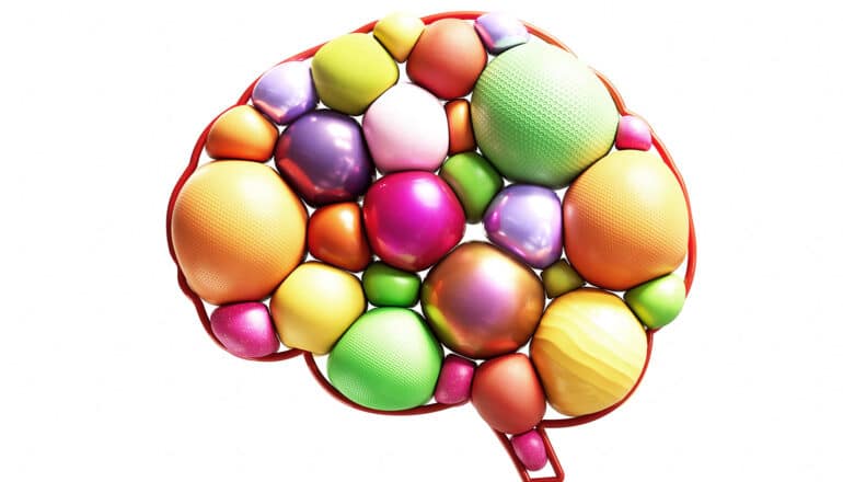 The outline of a human brain is filled with squishy spheres of different colors.