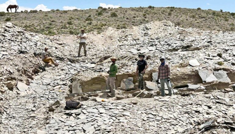 Researchers stand in a excavated hole in the side of a hill.