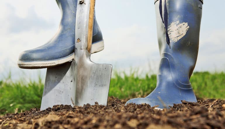 A person wearing rubber boots steps on a shovel to drive it into the soil.