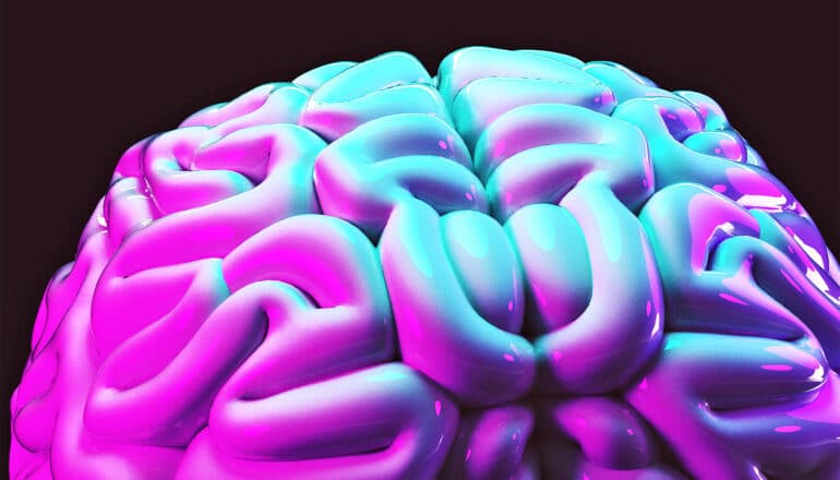 A model of the human brain illuminated with blue and purple light against a dark background.