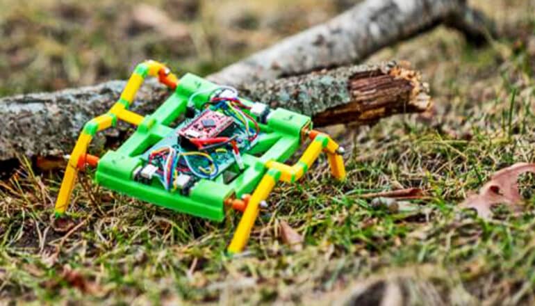 A small four-legged robot with a body covered in wires and electronics steps over a stick while walking on grass.