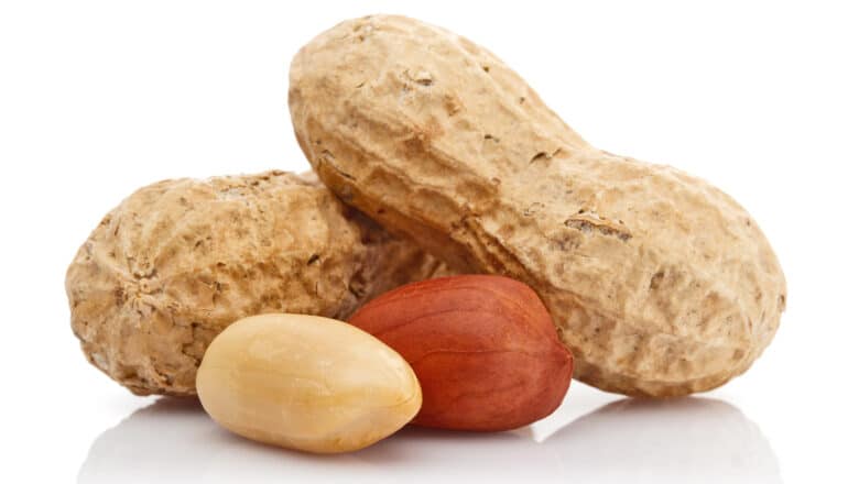 Two shelled peanuts and two peanuts in their shells sit on a white background.