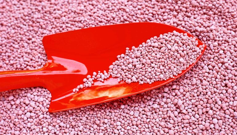 A red shovel in a large pile of pink fertilizer capsules.