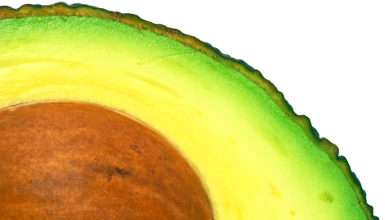 A close up of an avocado shows its brown pit and yellow and green insides.