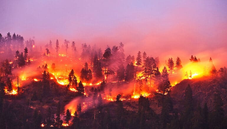 A forest covering a mountain range burns brightly below a purple sky.