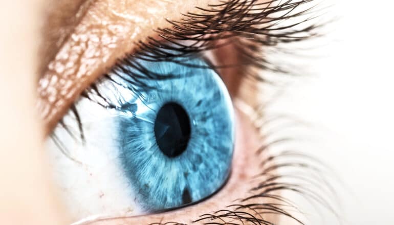 A close up of a person's blue eye.